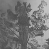 Single album artwork for 'Without You' by Poetic Quinns. Features a blue background, bold stylized text with the name 'Poetic Quinns' and a broken heart graphic in grey tones.